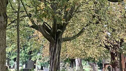 Day 31: a ghost story for All Hallows' Eve Day 31: a ghost story for All Hallows' Eve