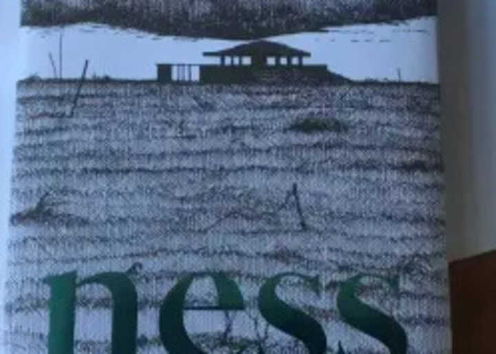 Ness by Robert Macfarlane and Stanley Donwood: first thoughts